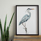 Great Blue Heron Print