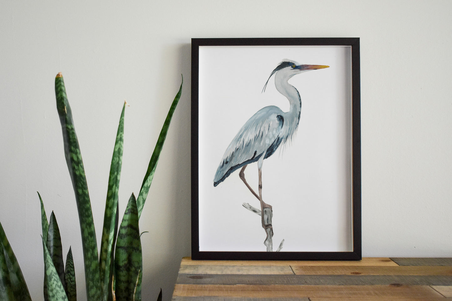 Great Blue Heron Print