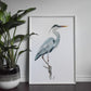 Great Blue Heron Print