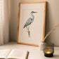 Great Blue Heron Print