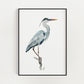 Great Blue Heron Print