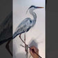 Great Blue Heron Print
