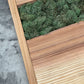 Wood Art "Moss River"